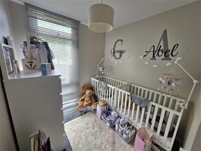 Picture 7